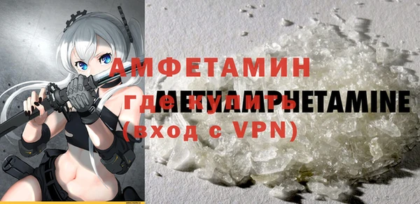 амф Горняк