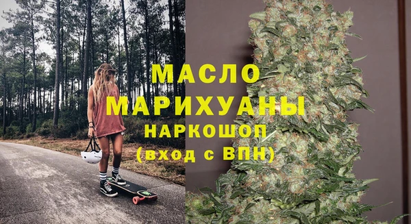 амф Горняк