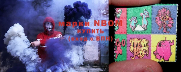 хмурый Горно-Алтайск