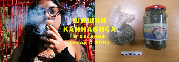 амф Горняк