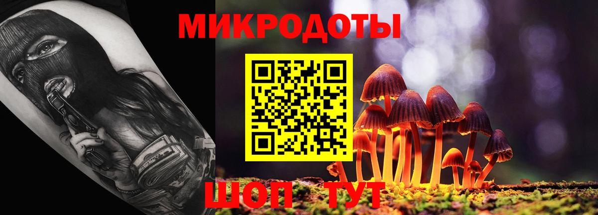 Гуково  Псилоцибиновые грибы Psilocybe  Псилоцибиновые грибы Cubensis  Вход с VPN 